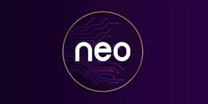 Neo Asset PMS Logo